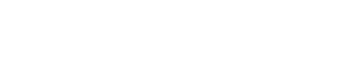 Fenomen logo